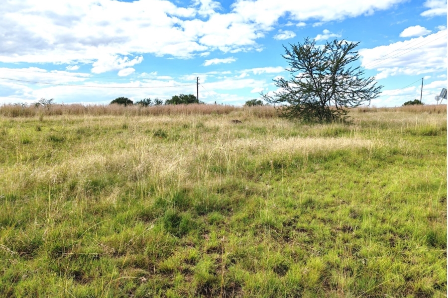 0 Bedroom Property for Sale in Oranjeville Free State